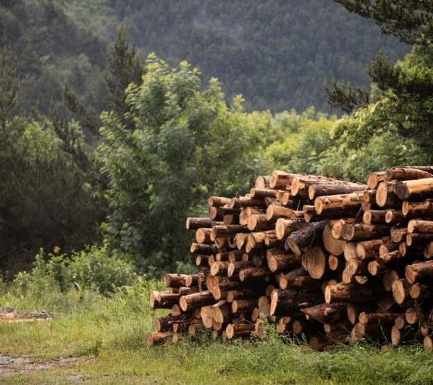 Umweltgerechtes Heizen mit Holz